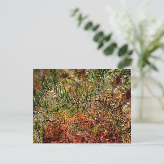 Herfst Dennennaalden  Feestdagenkaart (Staand voorkant)