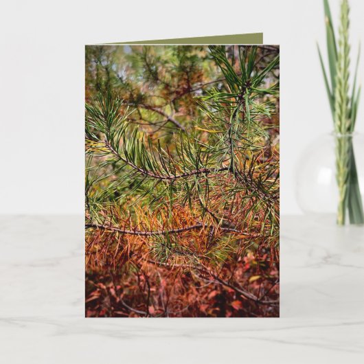 Herfst Dennennaalden Kaart (Voorkant)