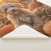 herfst doedel hond sherpa deken (3/4)