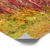 Herfst door het Park Lake-Fall Leaves Poster (Hoek)