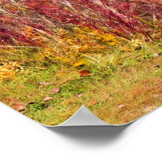 Herfst door het Park Lake-Fall Leaves Poster (Hoek)