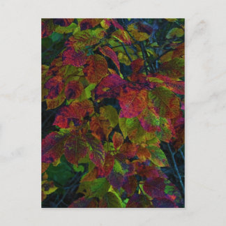 Herfst Dreams Briefkaart