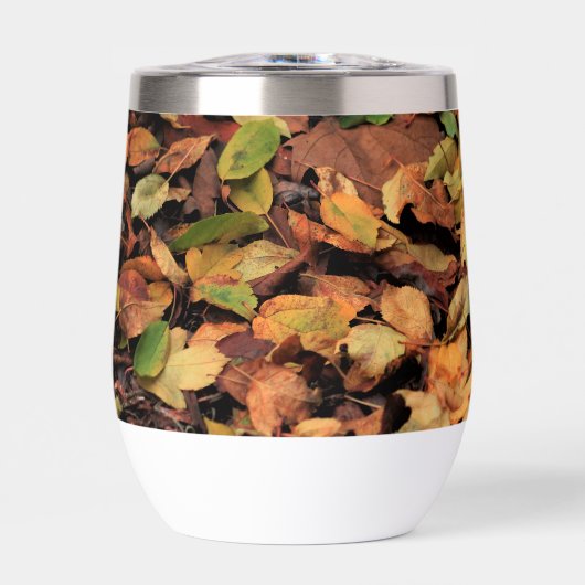 Herfst, droge bladeren (Voorkant)