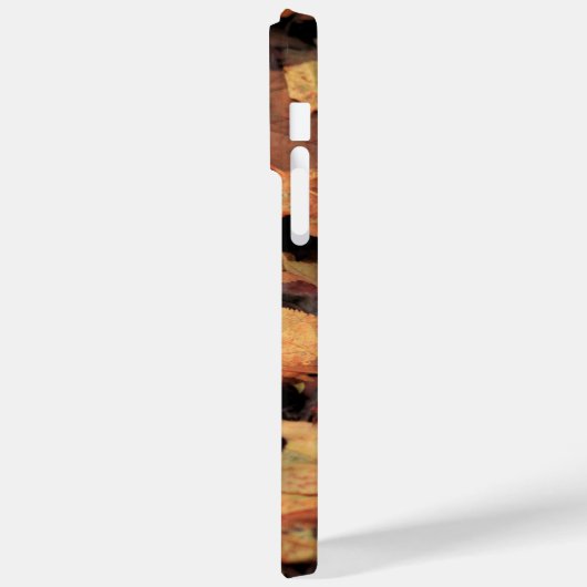 Herfst, droge bladeren Case-Mate iPhone case (Achterkant / Links)