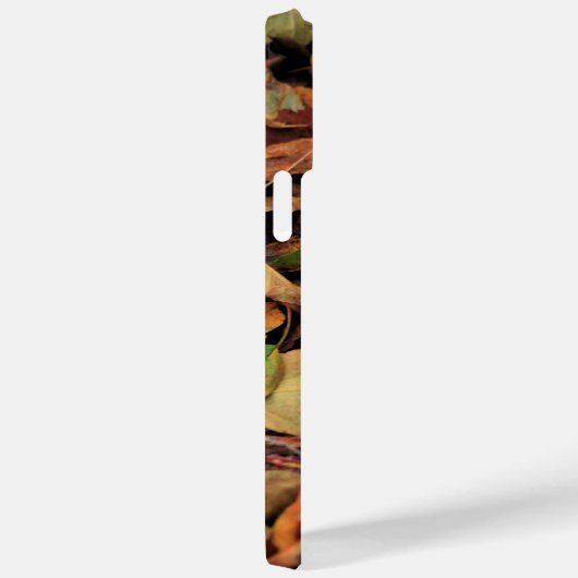 Herfst, droge bladeren Case-Mate iPhone case (Achterkant / Rechts)