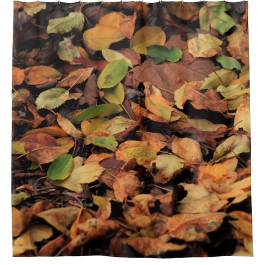 Herfst, droge bladeren douchegordijn (Voorkant)