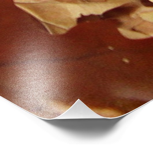 Herfst, droge bladeren foto afdruk (Hoek)