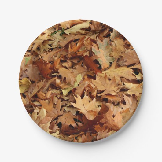 Herfst, droge bladeren papieren bordje (Voorkant)