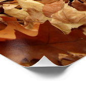 Herfst, droge bladeren perfect poster (Hoek)