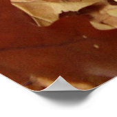 Herfst, droge bladeren poster (Hoek)