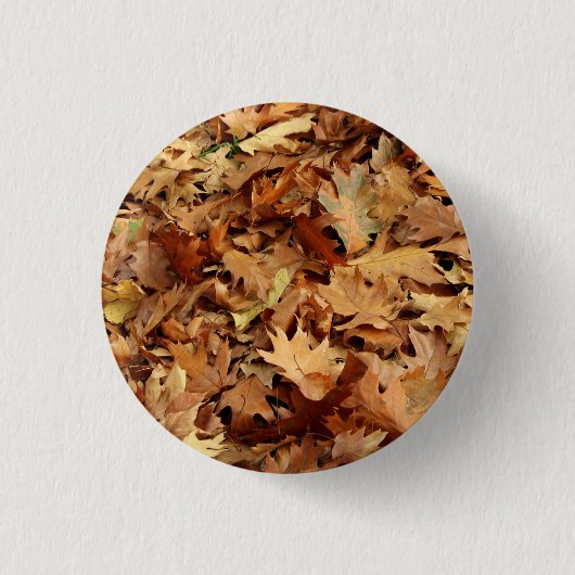 Herfst, droge bladeren ronde button 3,2 cm (Voorkant)
