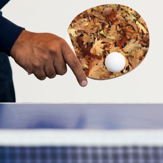 Herfst, droge bladeren tafeltennisbatje (Insitu)