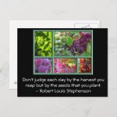 Herfst Druivenoogst Collage met Quote. Briefkaart (Voorkant / Achterkant)