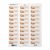 Herfst een beetje pompoen Baby shower retouradres Etiket (Full Sheet)