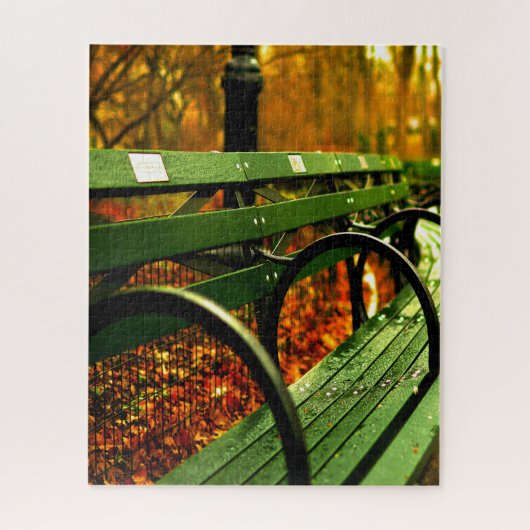 Herfst - Een plek in Central Park. Legpuzzel (Verticaal)