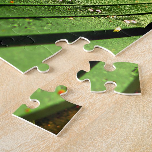 Herfst, een zitplaats in Central Park. Legpuzzel (Zijkant)