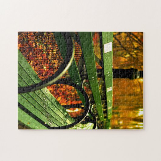 Herfst, een zitplaats in Central Park. Legpuzzel (Horizontaal)