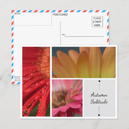 Herfst Eenzaamheid - Bloemwater druppels Briefkaar Briefkaart