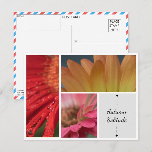 Herfst Eenzaamheid - Bloemwater druppels Briefkaar Briefkaart (Voorkant / Achterkant)