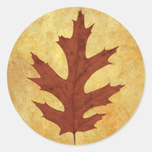 Herfst eiken blad rood ronde sticker