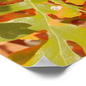 Herfst Eiken Tapijt Poster (Hoek)