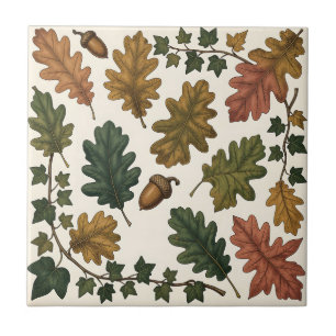 Herfst Eikenbladeren Eikel Klimop Botanische Studi Tegeltje