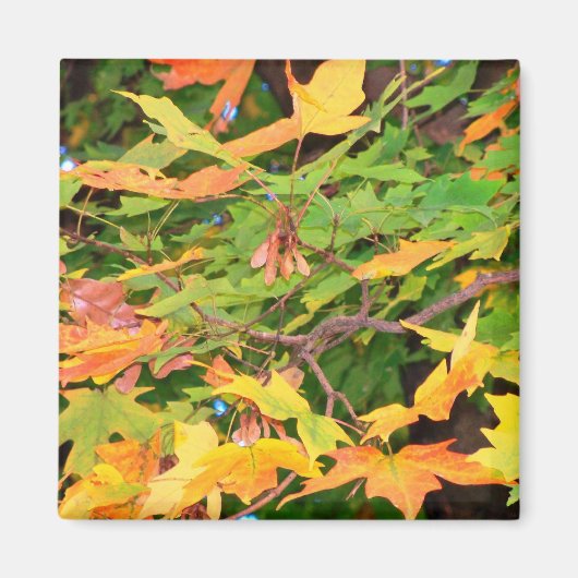 Herfst Eikenbladeren Magneet (Voorkant)