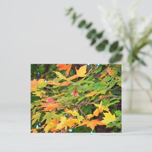 Herfst Eikenbladeren Thanksgiving Ansichtkaart Feestdagenkaart (Staand voorkant)