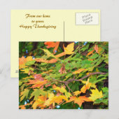 Herfst Eikenbladeren Thanksgiving Ansichtkaart Feestdagenkaart (Voorkant / Achterkant)