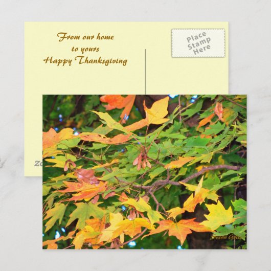 Herfst Eikenbladeren Thanksgiving Ansichtkaart Feestdagenkaart (Voorkant / Achterkant)