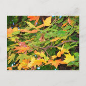 Herfst Eikenbladeren Thanksgiving Ansichtkaart Feestdagenkaart (Voorkant)