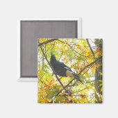 Herfst ekster - Magneet (Voorkant / Achterkant)