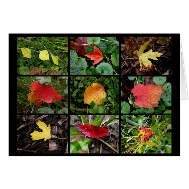Herfst(en) beauties (Voorkant Horizontaal)