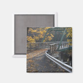 Herfst en brug over de Millers Magneet (Voorkant / Achterkant)