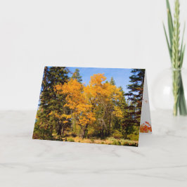Herfst en Thanksgiving Kaart