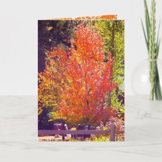 Herfst en Thanksgiving Kaart 2 (Voorkant)