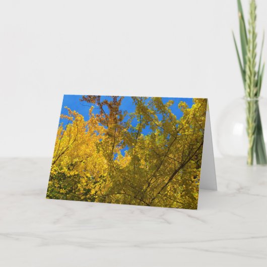 Herfst en Thanksgiving Kaart 3 (Voorkant)