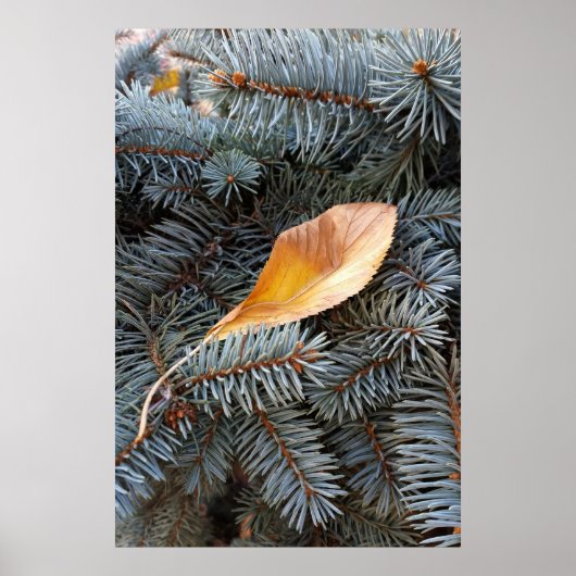 herfst en winter poster (Voorkant)