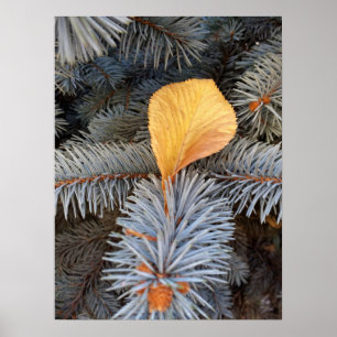 herfst en winter poster