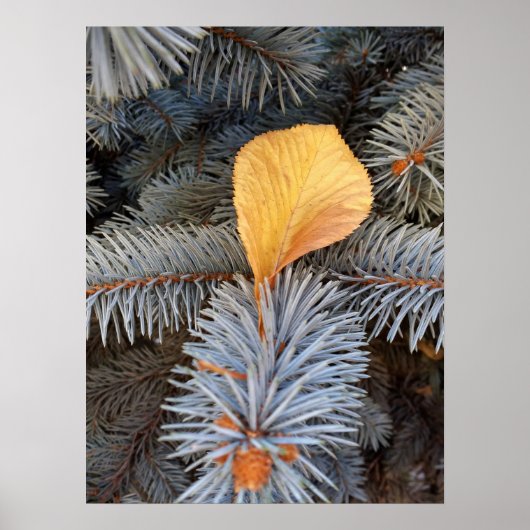 herfst en winter poster (Voorkant)