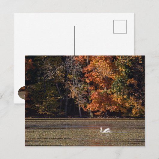 Herfst en zwoegvloed briefkaart (Voorkant / Achterkant)