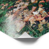 Herfst engel bos fantasie kunst foto afdruk (Hoek)