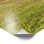 Herfst esdoorboom met brandende rode bladeren foto afdruk (Hoek)