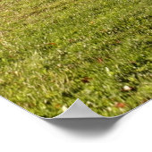 Herfst esdoorboom met brandende rode bladeren poster (Hoek)