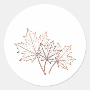 Herfst Esdoorn Botanische Lijnkunst Warme Blad Gra Ronde Sticker