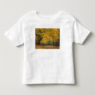 Herfst esdoorn overhangende landelijke laan, kinder shirts
