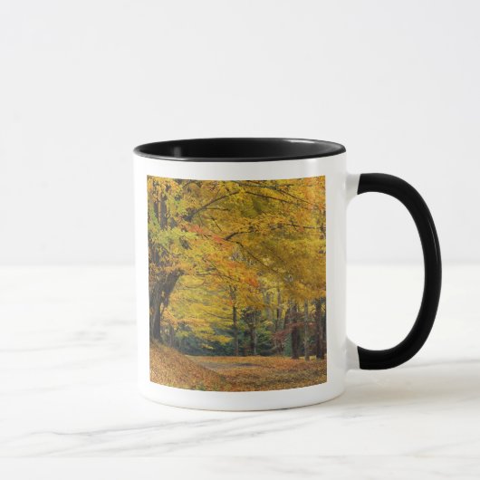 Herfst esdoorn overhangende landelijke laan, mok (Rechts)