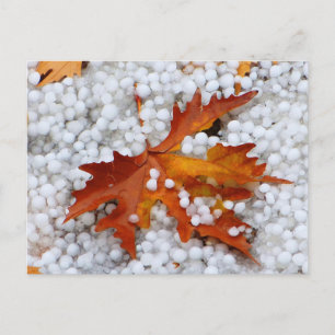 Herfst esdoornblad in echte hagel - dramatisch wee briefkaart