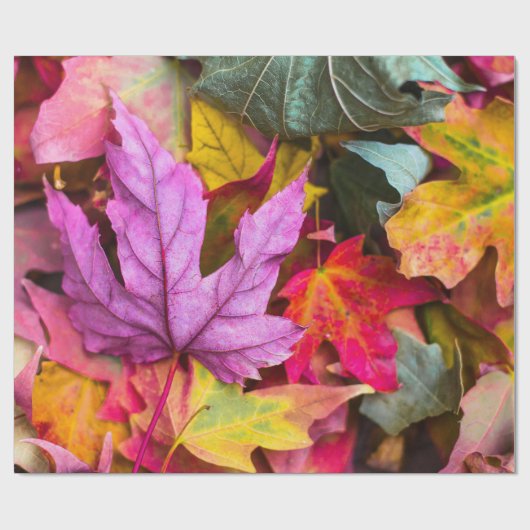 Herfst esdoornblad kleurrijke herfst natuur foto cadeaupapier (Vlak)