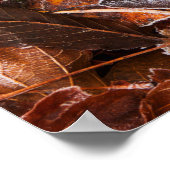 Herfst esdoornbladeren poster papier (mat) (Hoek)